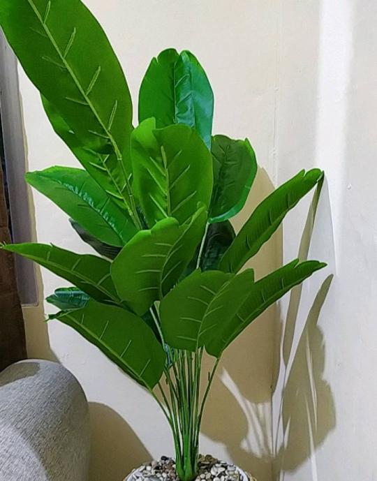 Cover Pot Enceng Gondok