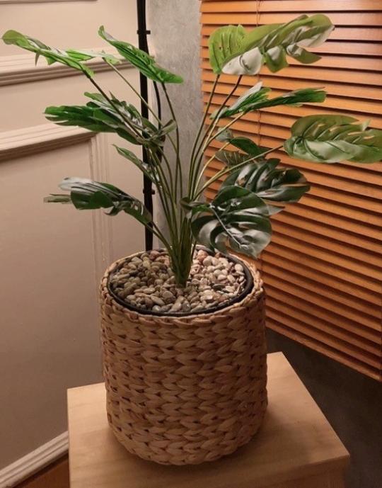 Cover Pot Enceng Gondok